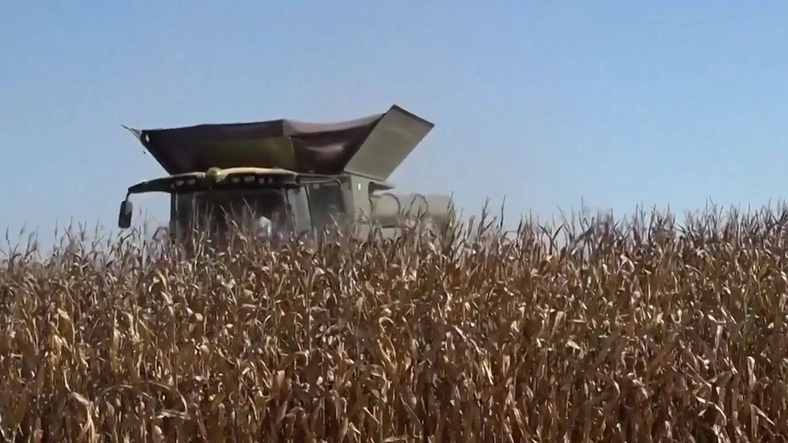 中国近半年没买过美国一粒大豆