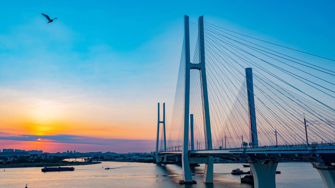 “中国建造”享誉海外！