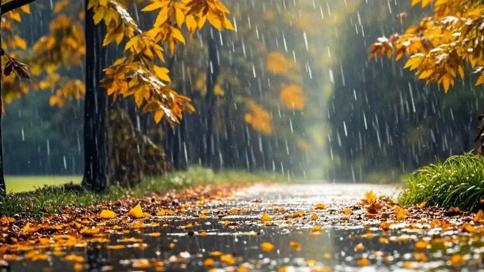 秋季下到“涝”的背后“推手”