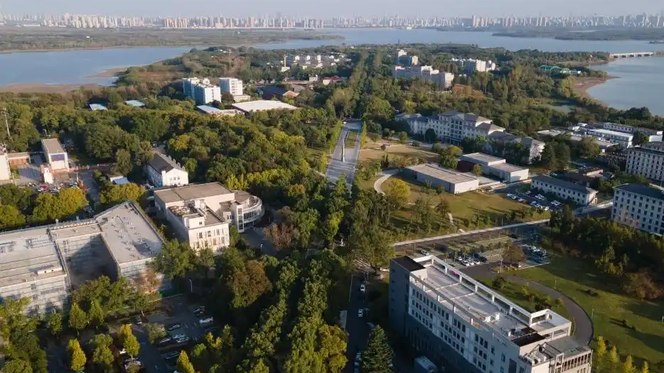 中部“黑马”为什么又是这里