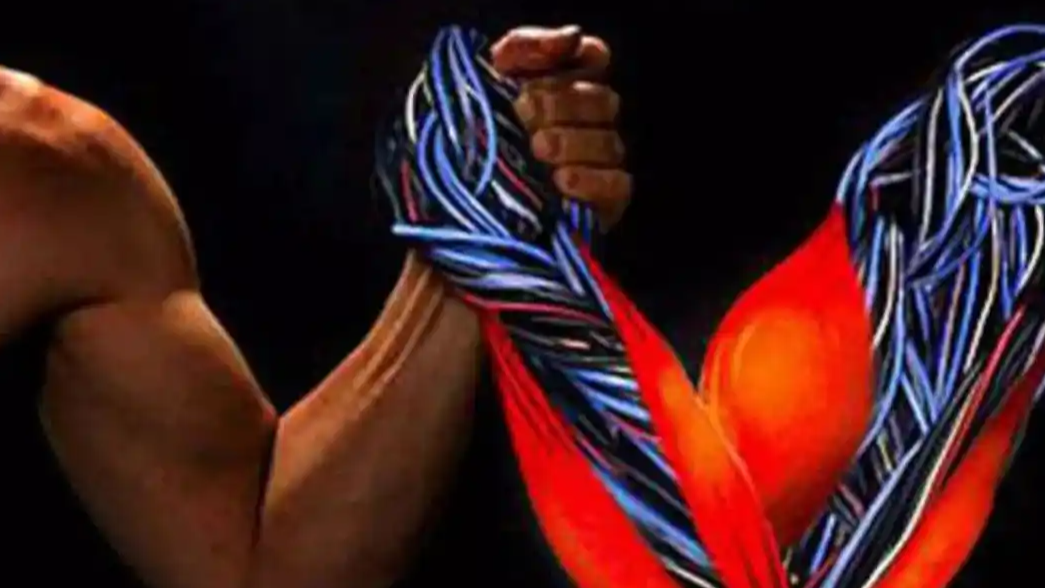 新型人造肌肉可举起4000倍自重物体