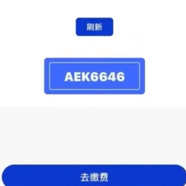 车主选中尾号6646号牌被告知作废