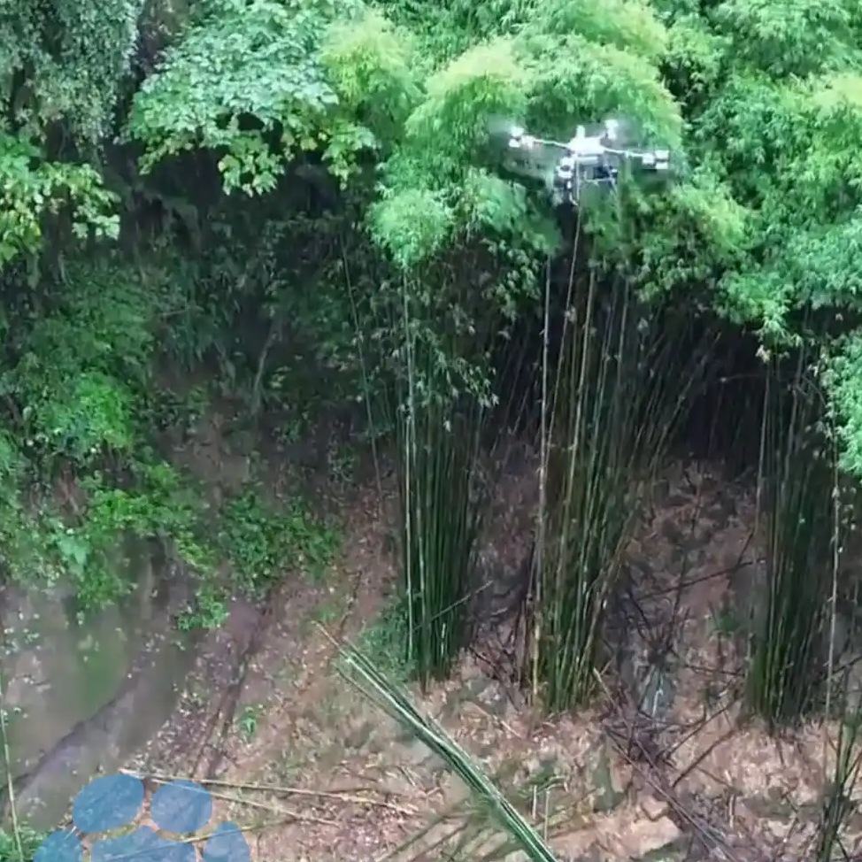 00后小伙用无人机吊运竹子：月赚4万