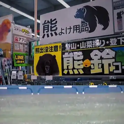 日本熊害死亡人数创新高