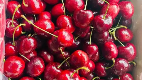 车厘子已上市 有水果店一斤近百元