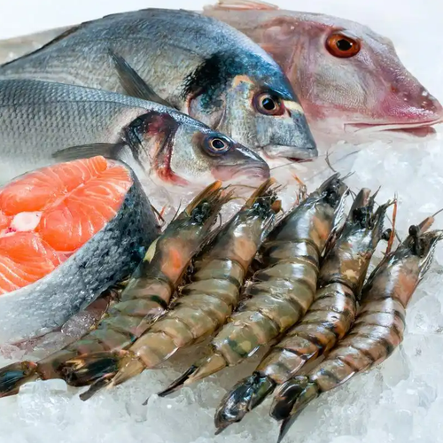 印度想替代日本对华出口水产品