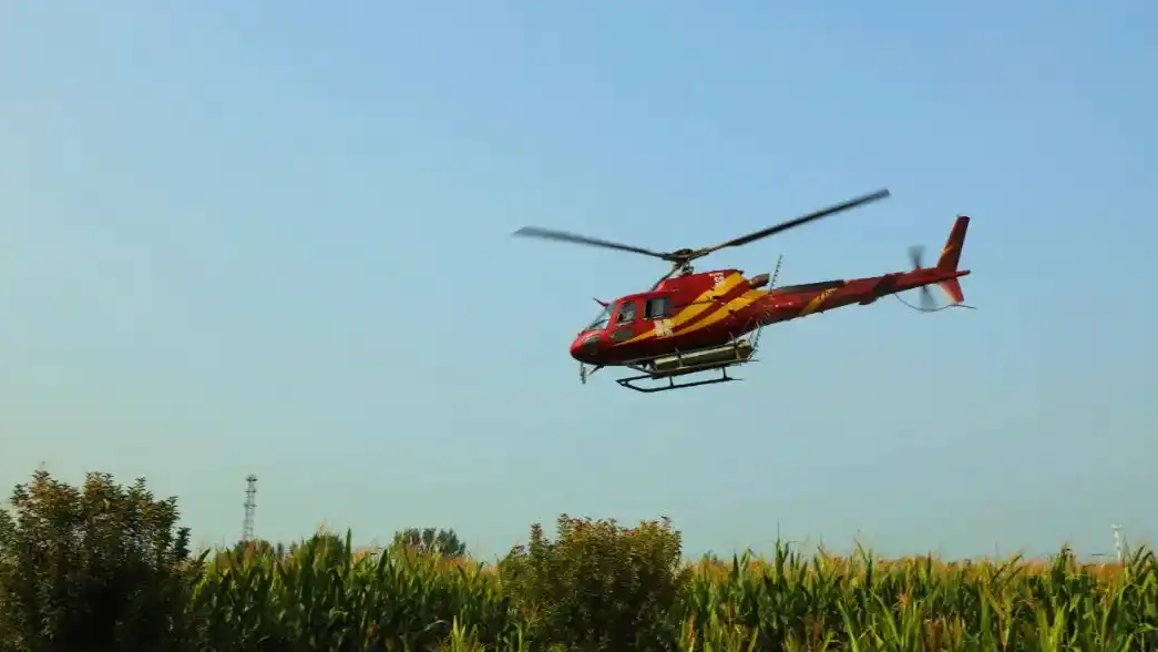 山东邹平成立“三无飞机”调查组