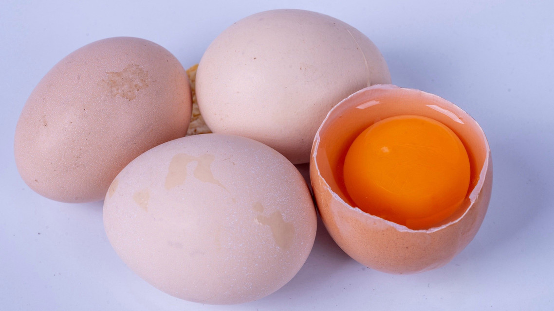 激素蛋大量流入市场系谣言