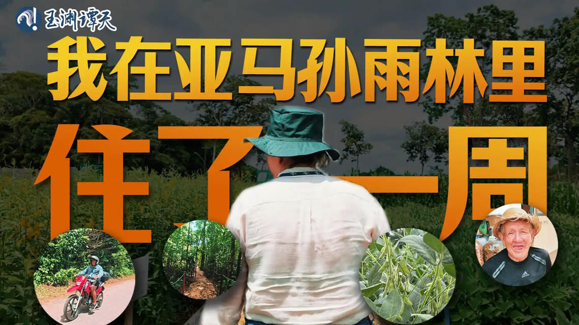 中国买大豆毁掉巴西雨林？假的！