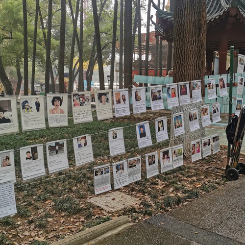 公园相亲展板上现演员杨洋照片