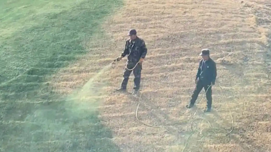 陕西一地喷颜料染绿草坪系谣言