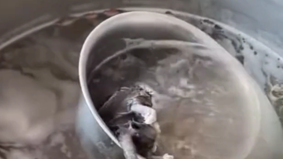 广西一早餐店汤锅内捞出死老鼠