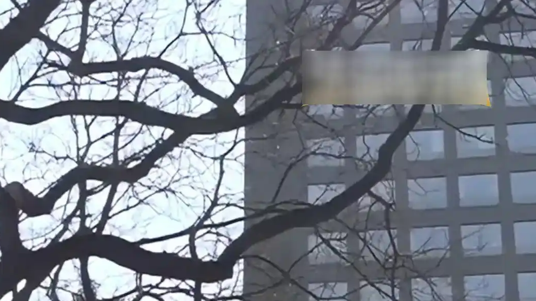 老板招25人其中24人是骗子