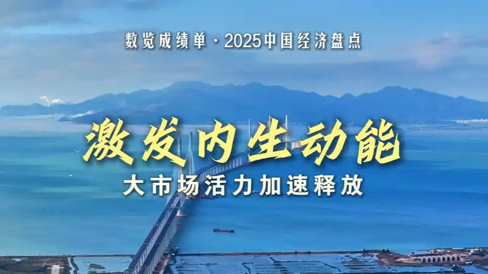 2025中国经济盘点