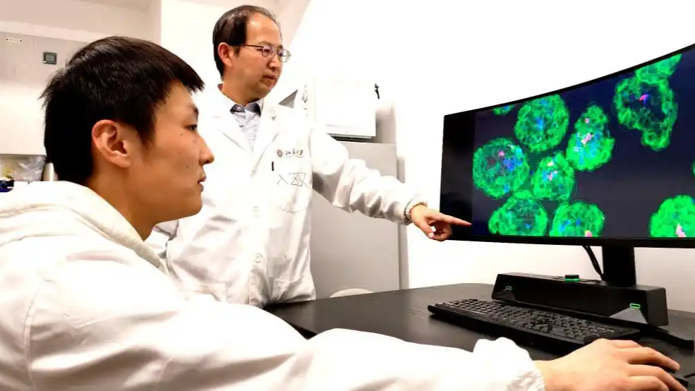 中国在攻克癌症免疫耐受上有新突破