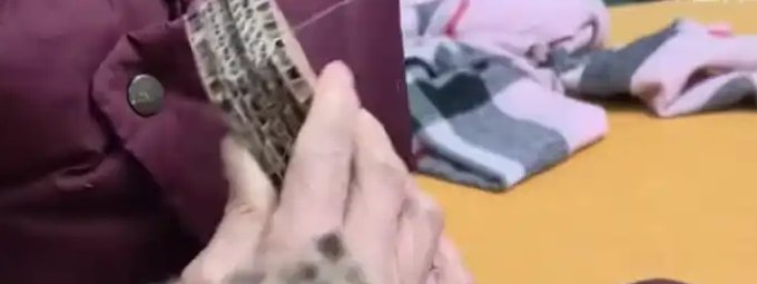 奶奶为孙子制作“AK47”交手工作业