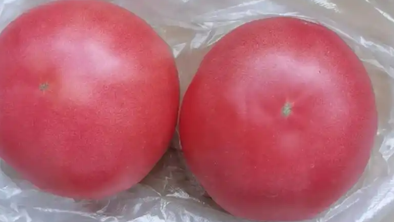 “两个西红柿就要10块钱”