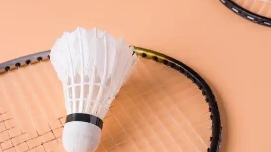 多款羽毛球现“近365天最低价”