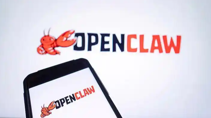 投资人下班疯狂补习“养龙虾”