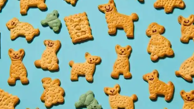 儿童食品“三高”更突出 委员发声