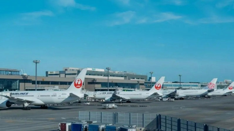 52条中日航线2月取消全部航班