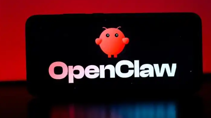 白岩松：龙虾火了 但主角一定还是人