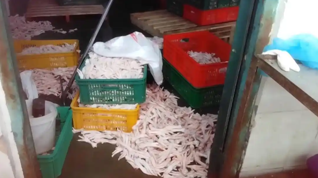 漂白鸡爪企业获食品安全管理体系认证