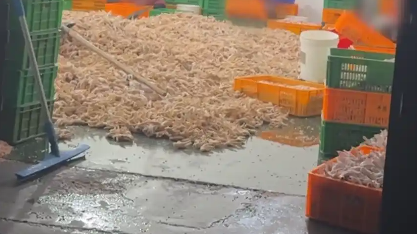 315晚会曝光完整名单