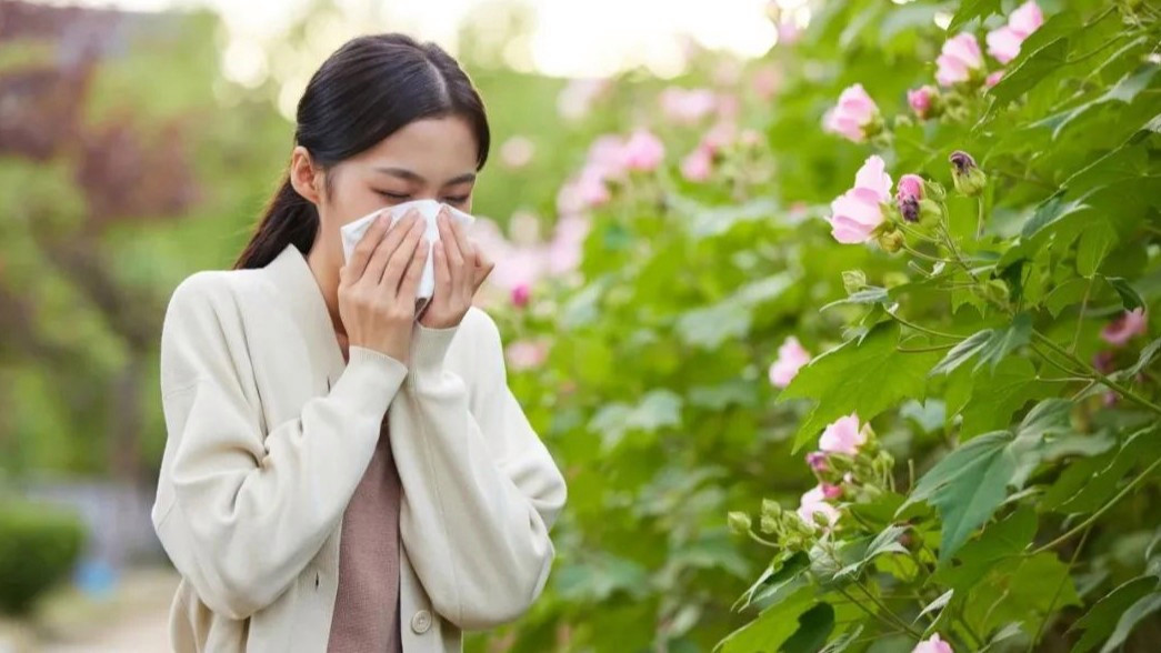 花粉过敏“忍一忍就好了”系误区