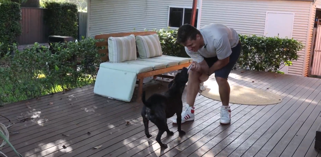 兽医宣判爱犬“只剩几个月”，他打开ChatGPT自己造疫苗：3个月后肿瘤缩小75%！