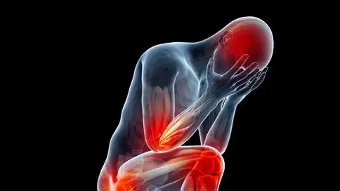 中国科学家揭秘疼痛的昼夜波动密码