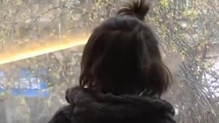 女子将6岁儿子丢酒店失联半个月