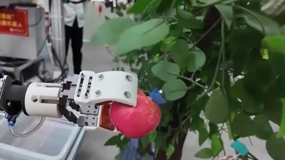 “双胞胎”机器人解锁采摘新技能