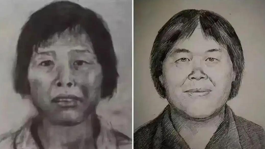 “梅姨”落网了 然后呢