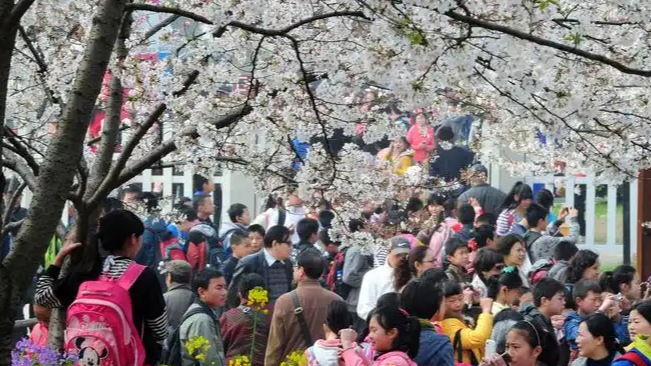 让春假来得更猛烈些吧