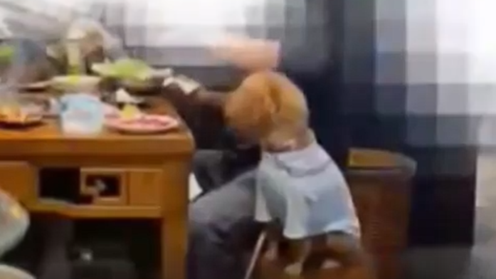 顾客用餐具给狗喂食 商家被责令整改