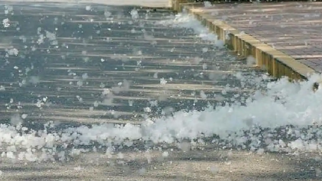 北京春天的“白毛雪”终于被拿捏了