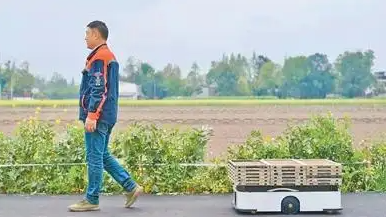 田间来了“大力士” 能扛秧苗几百斤