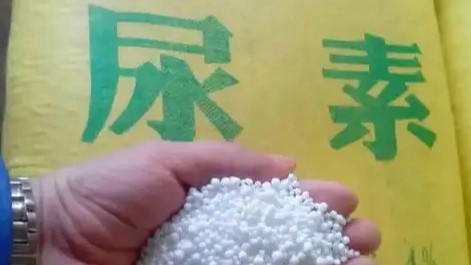 全球化肥价格飙涨 中国为何不慌