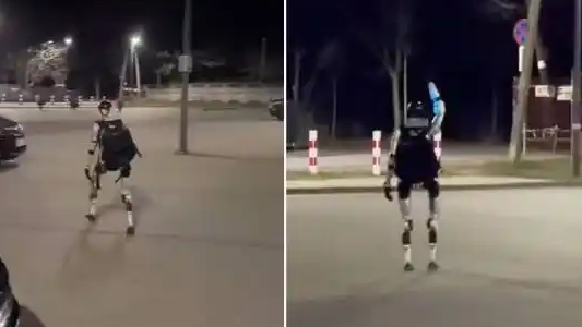 中国机器人在波兰街头驱赶野猪