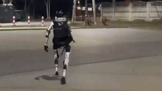 中国机器人火到波兰：登台讲笑话