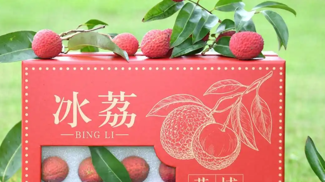 “荔枝界爱马仕”一斤380元